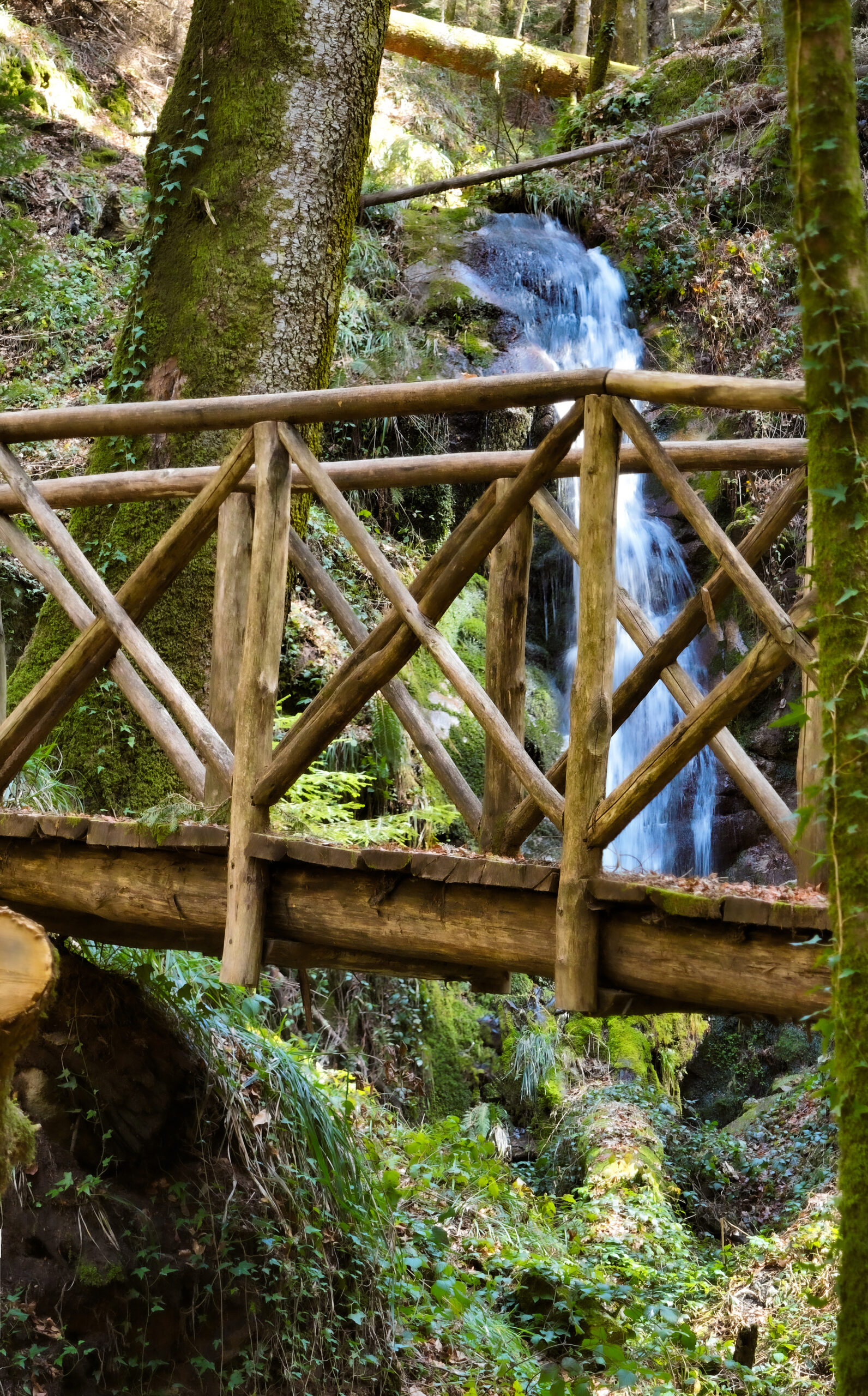 Avventura e trekking
