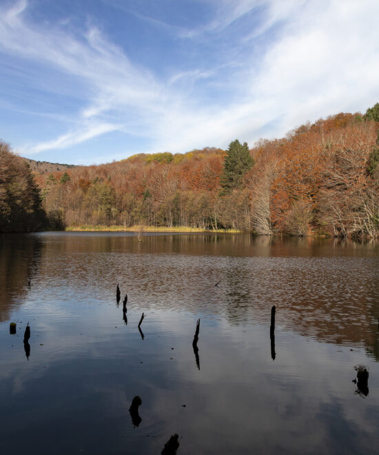 Bosco di Stilo - Lago Giulia