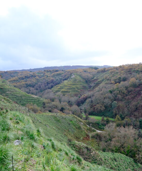 Paesaggi del Monte Poro