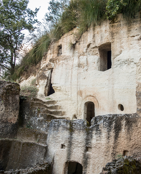 Grotte rupestri di Zungri