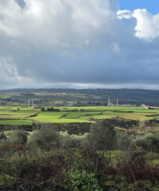 Tra campi e colline