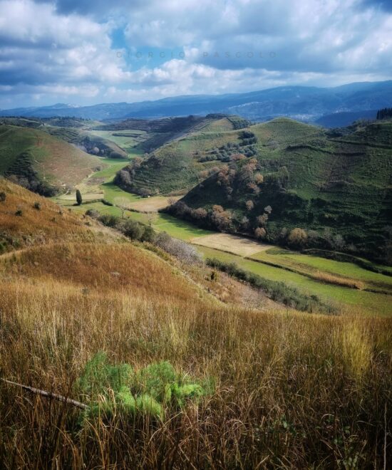Tra campi e colline
