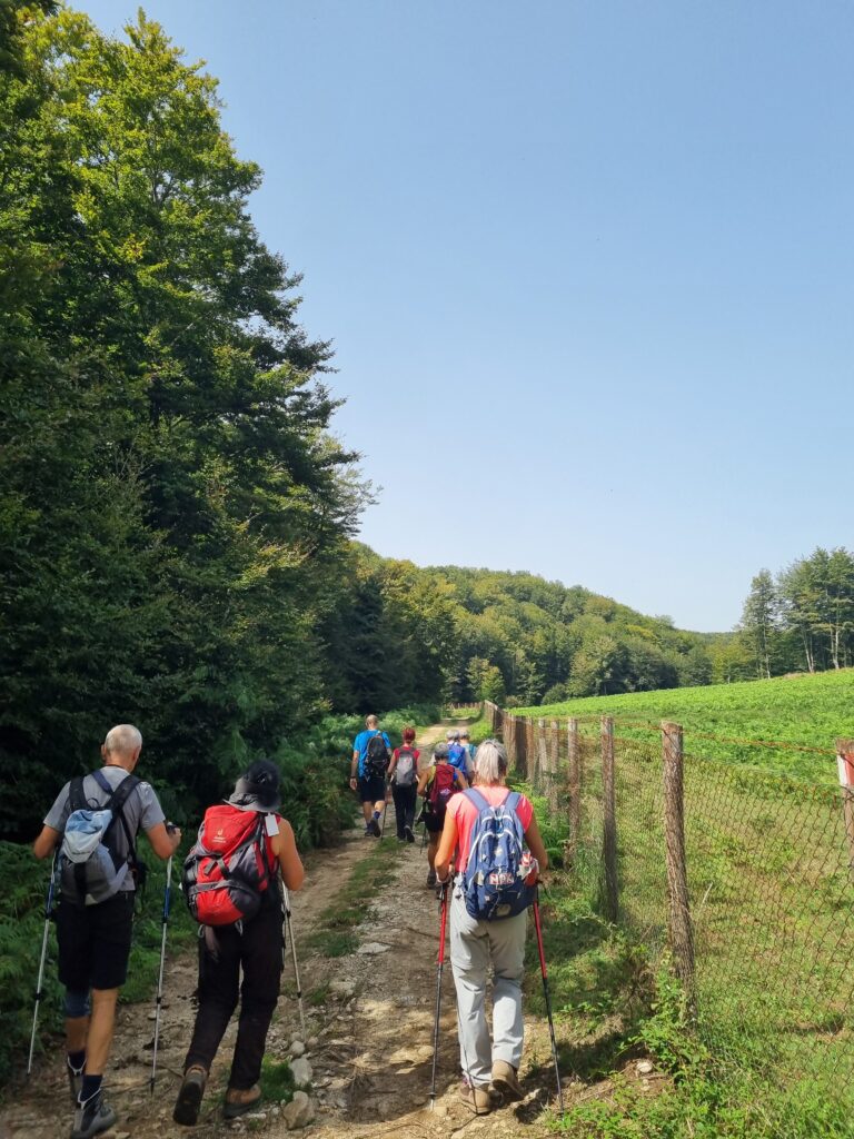 Cammino del Normanno. Tappa6. Mongiana. Camminatori alla Mongianella