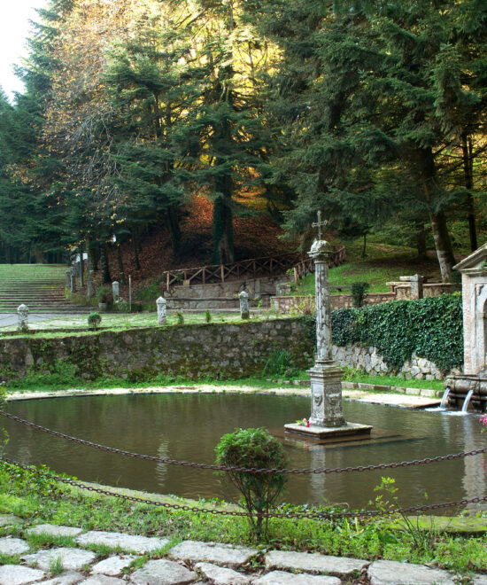 Serra San Bruno - Santa Maria del Bosco